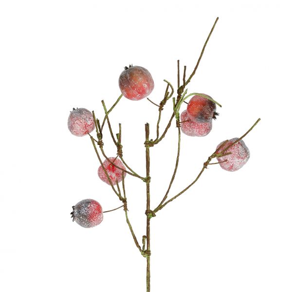 Цветок PASSION розовый H95CM, Cote Table