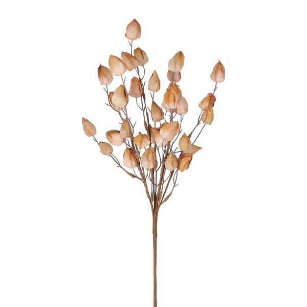 Цветок LUNARIA коричневый H51 бумага, пластик, Cote Table