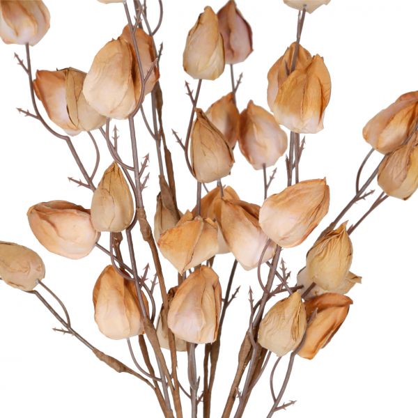 Цветок LUNARIA коричневый H51 бумага, пластик, Cote Table