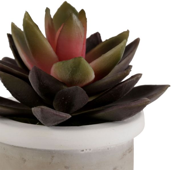 Декоративные цветы ECHEVERIA белый D8X11 пластик