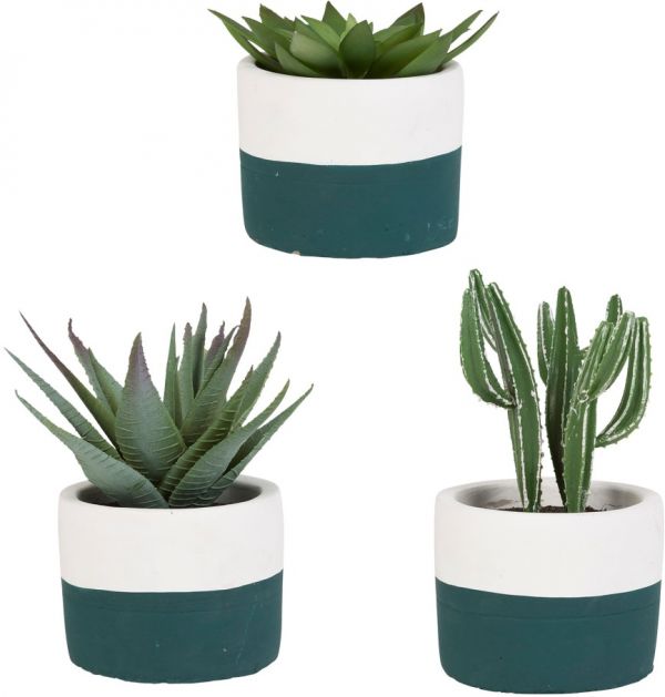 Декоративные цветы 3 шт  ALOE изумрудный D8XH13CM