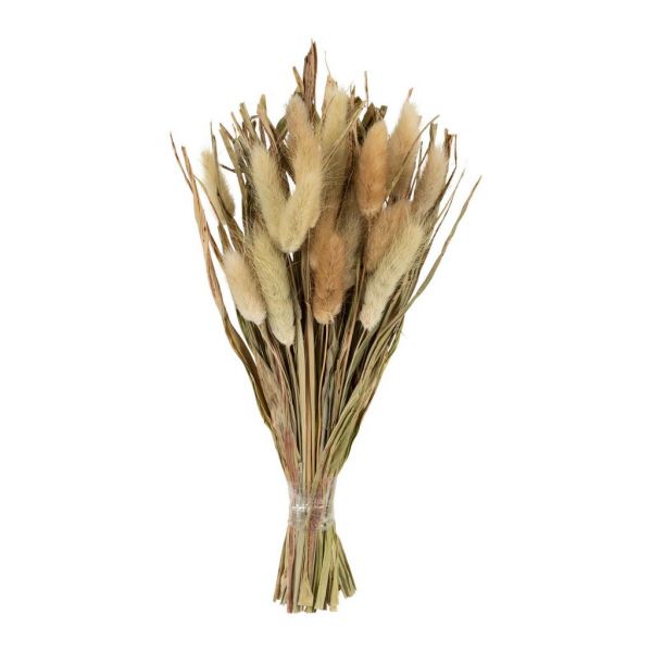 DRIED LAGURUS BOUQUET FLEUR-SE NATURAL H25 VEGETAL