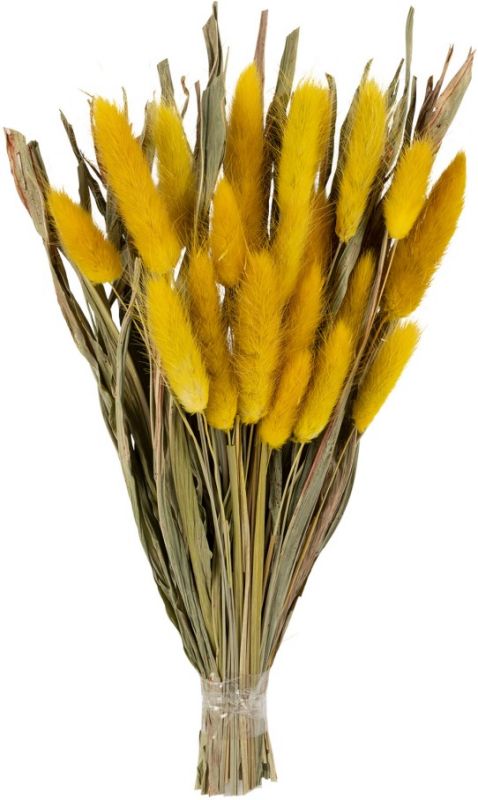Букет сухоцветов BOUQUET FLEUR-SE желтый H25