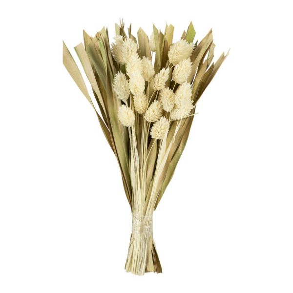 DRIED PHALARIS BOUQUET FLEUR-SE WHITE H25 VEGETAL