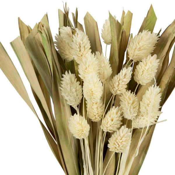 DRIED PHALARIS BOUQUET FLEUR-SE WHITE H25 VEGETAL