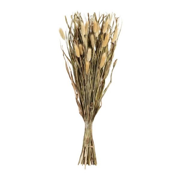 DRIED LAGURUS BOUQUET FLEUR-SE NATURAL H60 VEGETAL