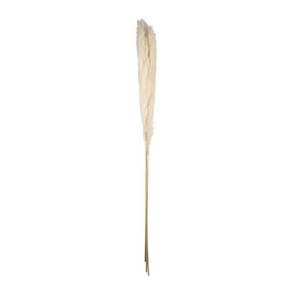 FLOWER PAMPAS FLEUR-SE WHITE H160CM VEGETAL