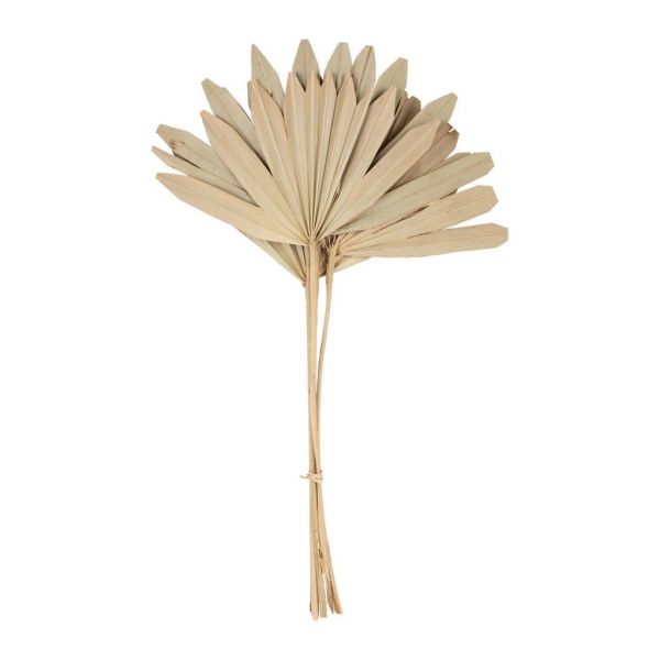 BRUSHWOOD PALM TREE LEAF PALMIER NATURAL 50X25CM