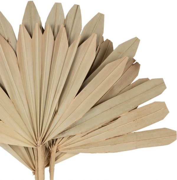 BRUSHWOOD PALM TREE LEAF PALMIER NATURAL 50X25CM