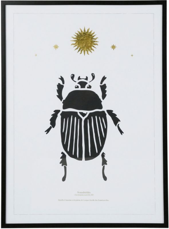 Декор в рамке SCARAB ASTRE белый 50X70 стекло