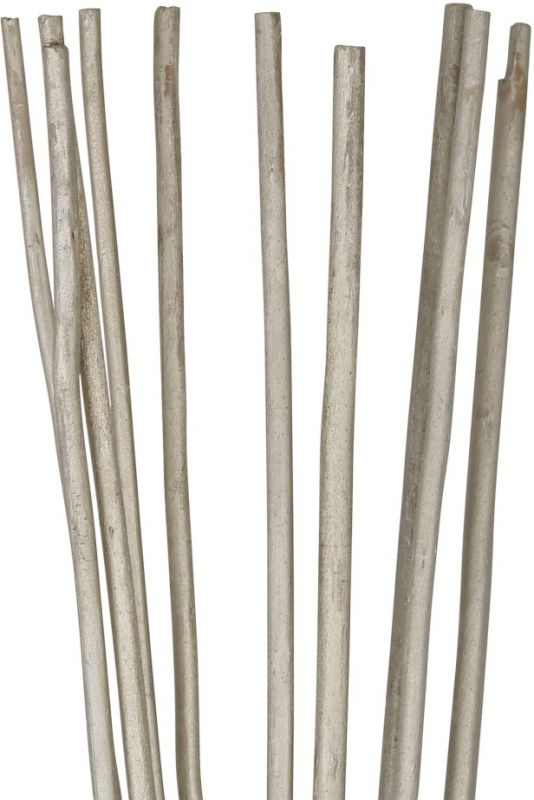Декоративные палочки 10 шт CHAMPAGN H95 сухие растения