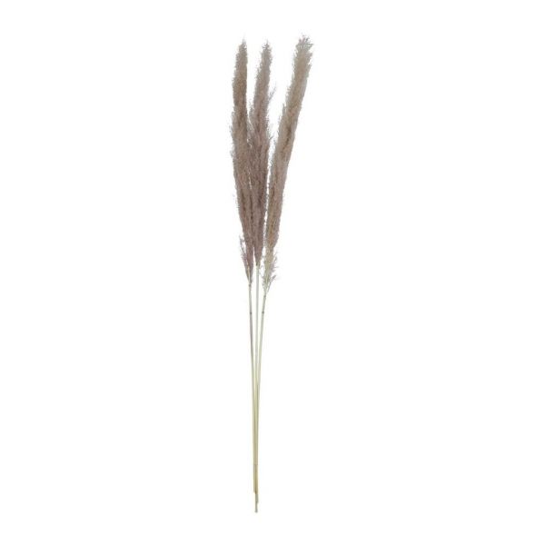 FLOWER PAMPAS X3 FLEUR-SE TAUPE H160CM VEGETAL