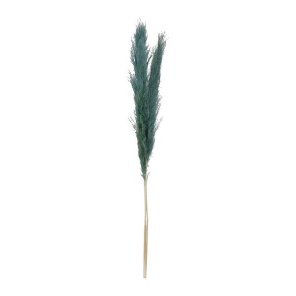 FLOWER PAMPAS X3 FLEUR-SE EMERALD H160CM VEGETAL