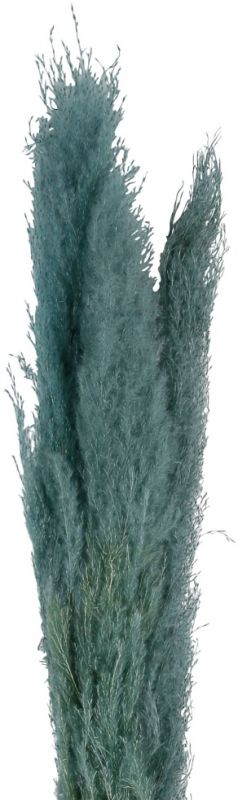 FLOWER PAMPAS X3 FLEUR-SE EMERALD H160CM VEGETAL